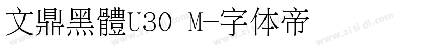 文鼎黑體U30 M字体转换